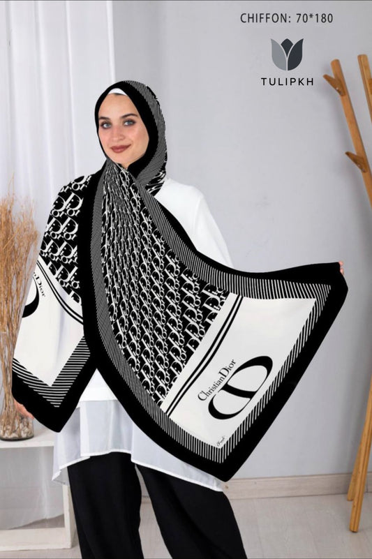 Dior Printed Scarf